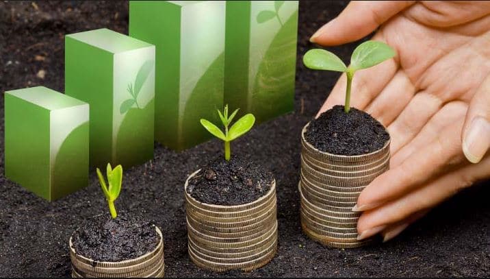 sustainable investment